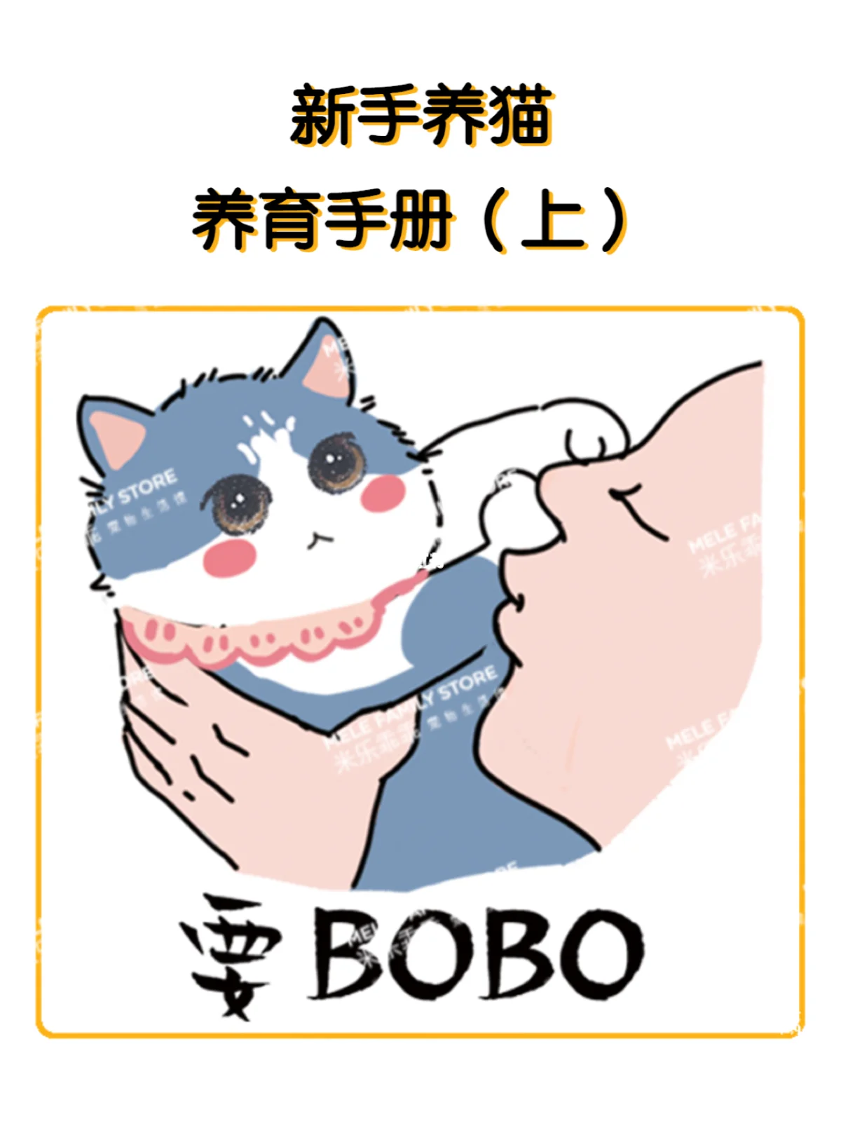 养宠家庭的智能监控方案：出差也能撸猫的秘密的简单介绍