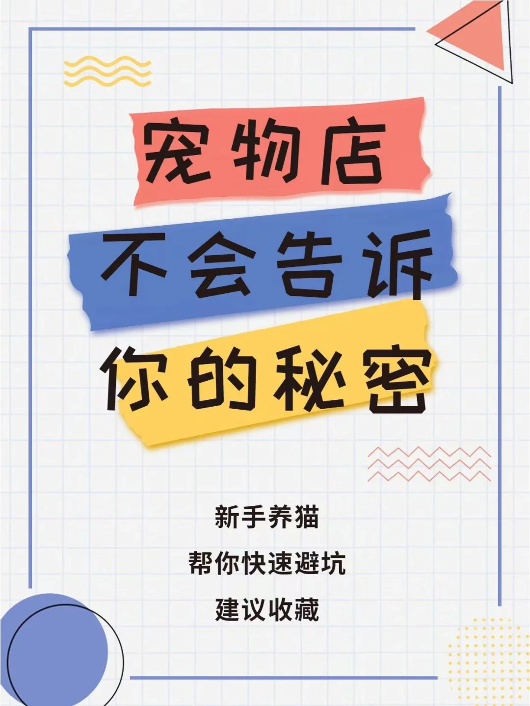 养宠家庭的智能监控方案：出差也能撸猫的秘密的简单介绍