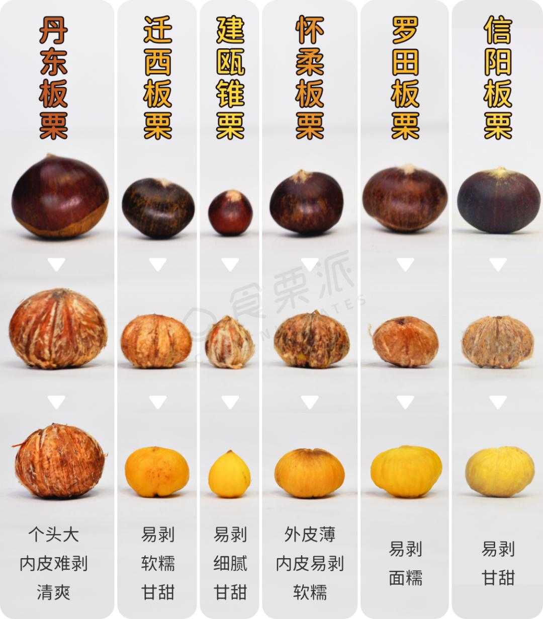 坚果p1和p2区别 坚果p1 p2 p3参数 